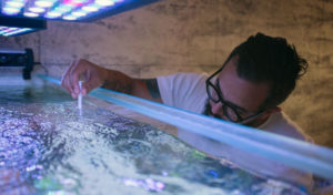how to reduce water hardness in aquarium