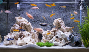 how to make aquarium decorations safe