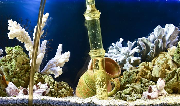 aquarium water changer system