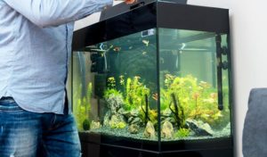best aquarium water clarifier
