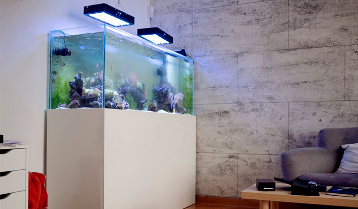 best aquarium stand