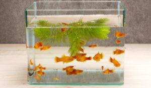 how to fix a leaky fish tank