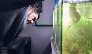 how to get rid of green water in a fish tank