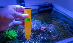 how to lower ph level in fish tank