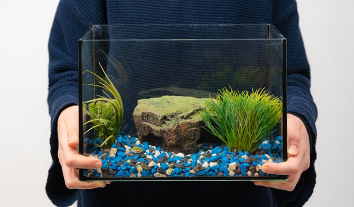 how to move a fish tank short distance