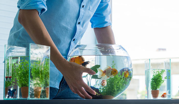 how to move a fish tank without emptying it