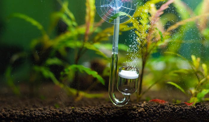 JARDLI Pollen Glass CO2 Diffuser for Aquarium Planted Tank 