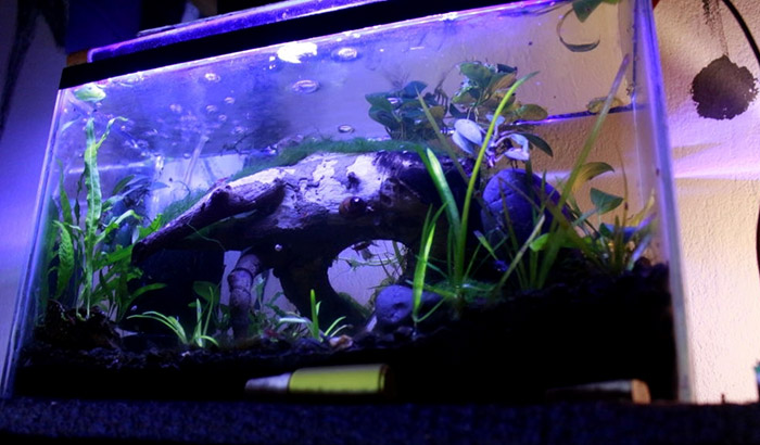 OXYFUL 24W Non-Submersible UV Ultraviolet 21.5 Algae Bacteria Virus Sterilizer Light Clarifier Lamp Filter for Aquarium Koi Pond Fish Tank 