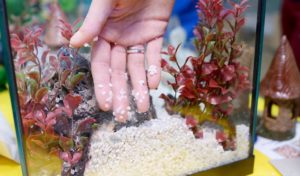 how to remove sand from aquarium