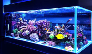 waterbox