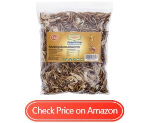 appetizing shrimp mealworms