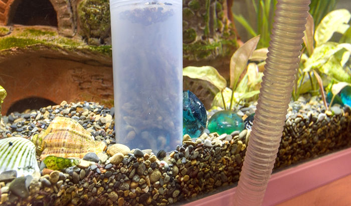 how to remove uneaten food from fish tank