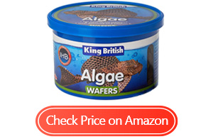 king british algae wafers