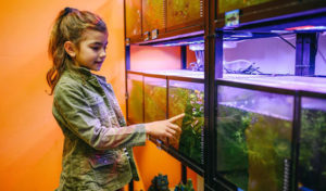 best fish tank for kids