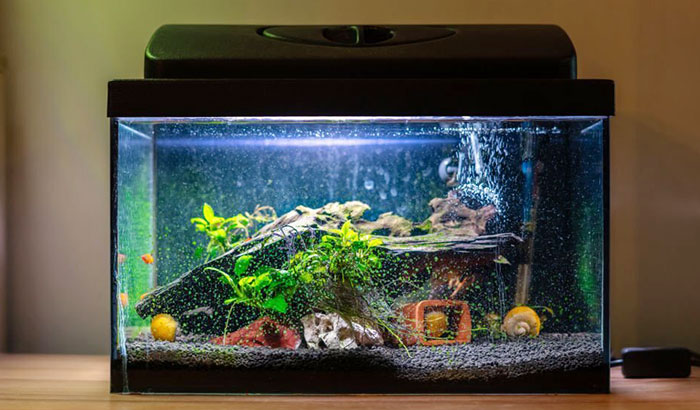 best small fish tank filter