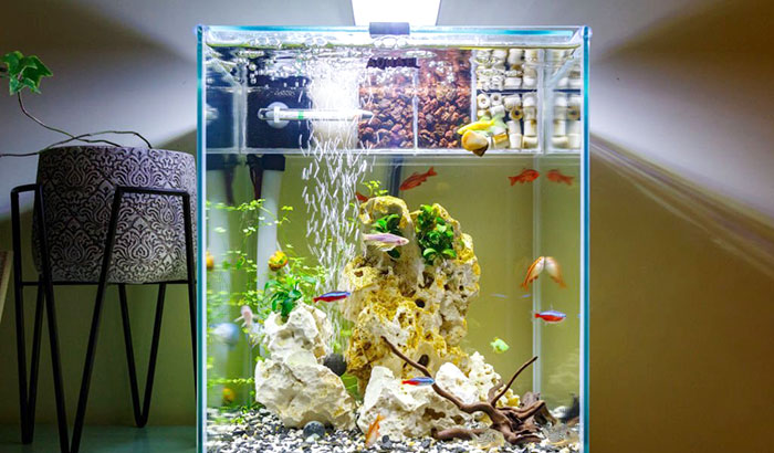 smallest external aquarium filter