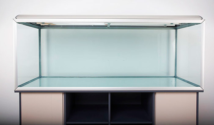 acrylic vs glass fish tank