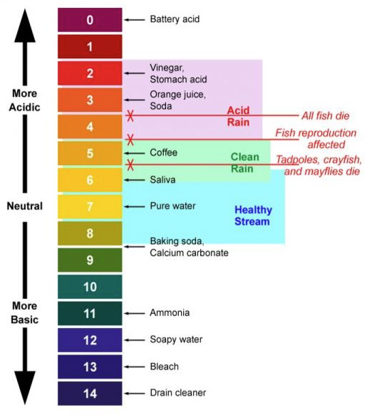 ph level and water quality
